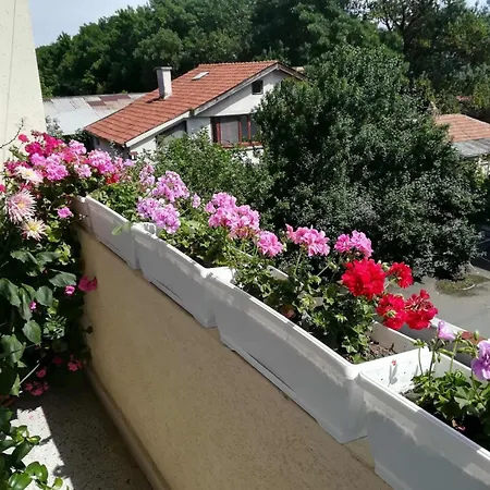 Apartment Sarafovo End Airport 3 Bedrooms Eurovision Edition